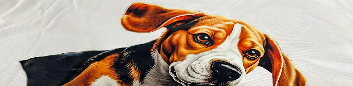 DTF転写プリント例