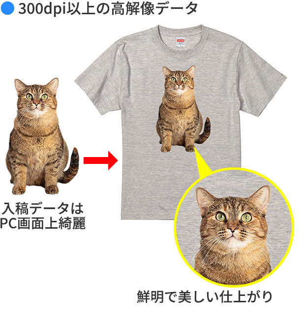 Tシャツ仕上がり比較