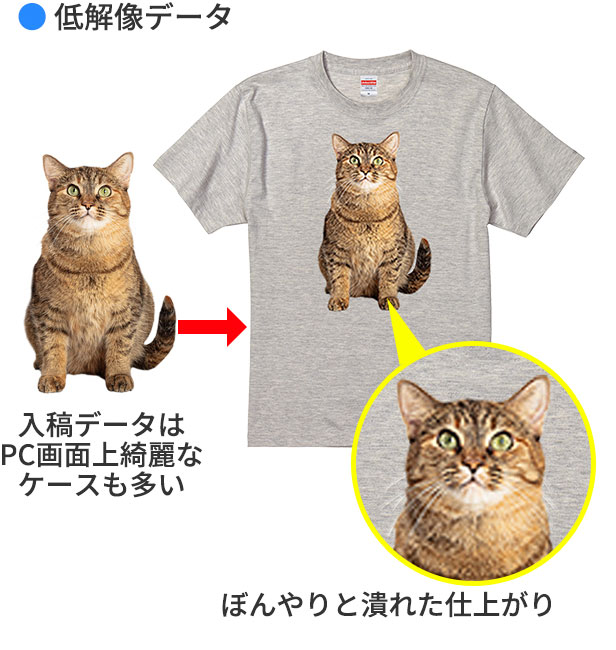 Tシャツ仕上がり比較