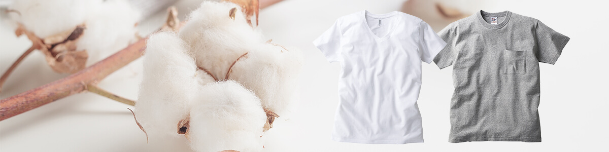 綿100％Tシャツイメージ