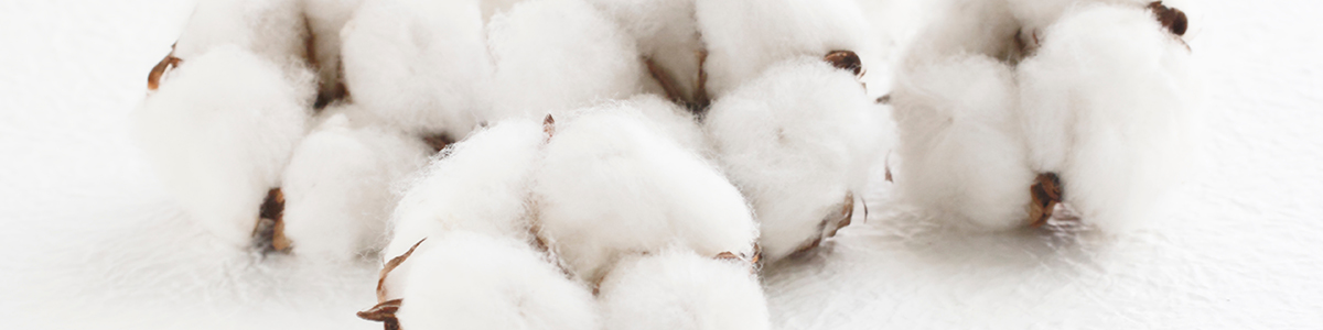 オーガニックコットンイメージ