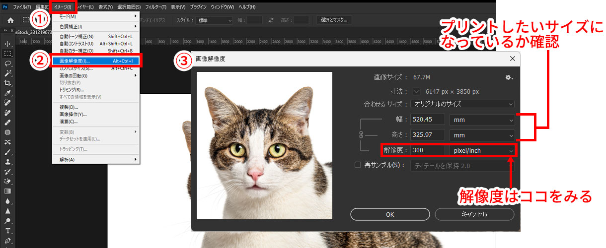 Photoshopでの解像度確認方法