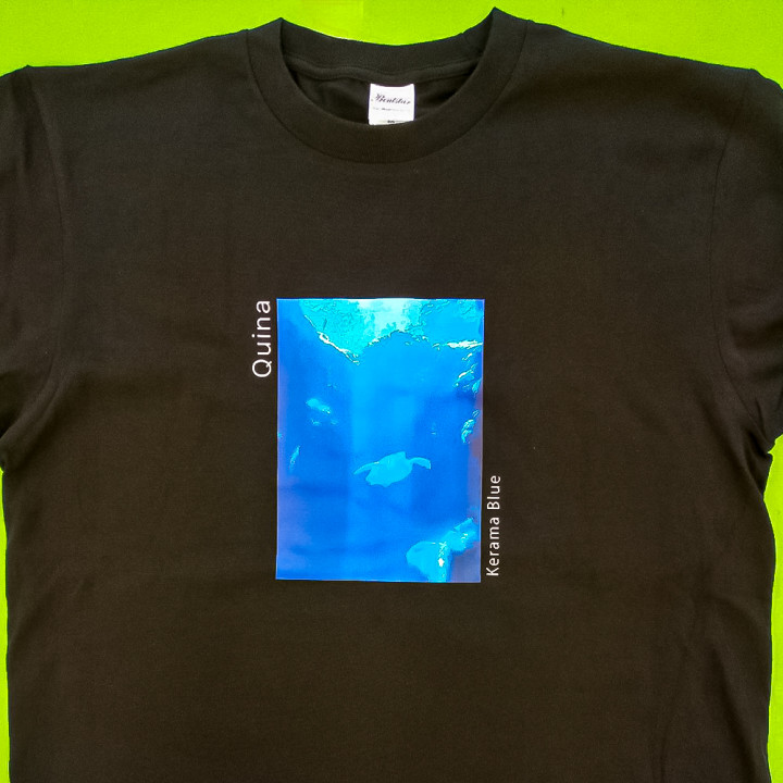 QinaブラックDTF転写事例