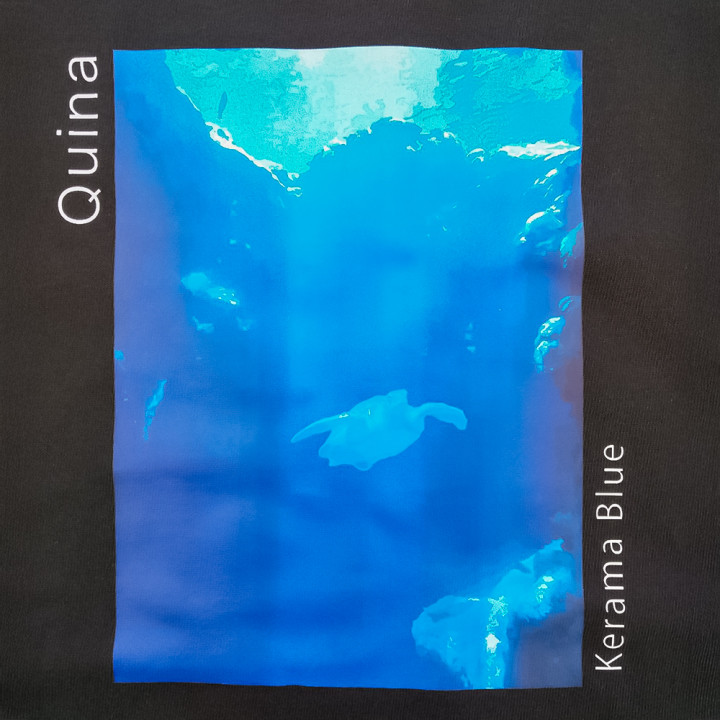 QinaホワイトDTF転写事例アップ