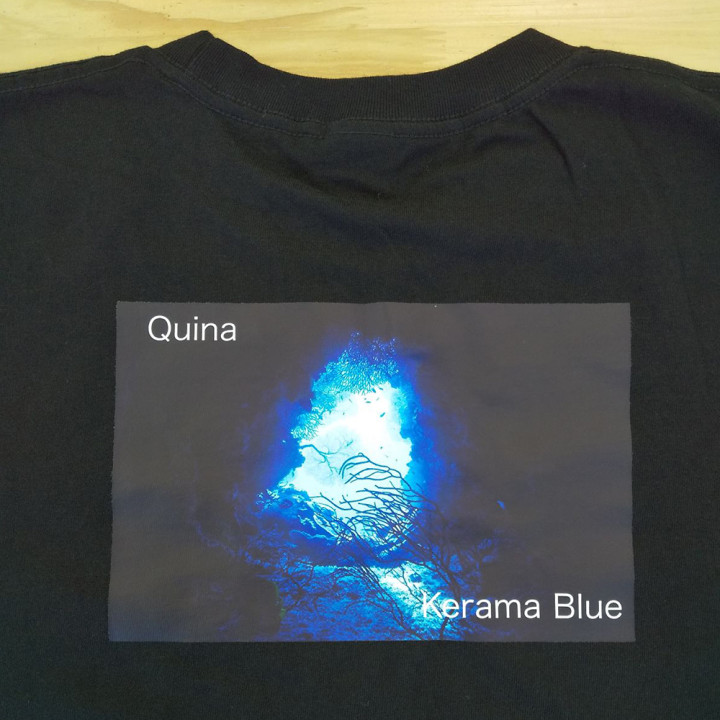 オリジナルプリントTシャツkeruma blueアップ