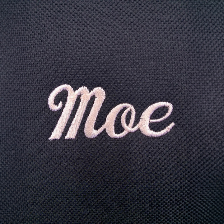 オリジナル刺繍ガーメントバッグ「moe」 アップ