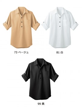 BS-00101 レギュラーカラーシャツ(レディース) カラー一覧
