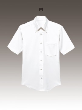 BS-23308 ニットボタンダウンシャツ トップス　カラー一覧　白　ホワイト
