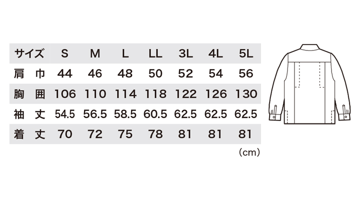 3193_size.jpg