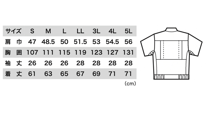 1251_size.jpg