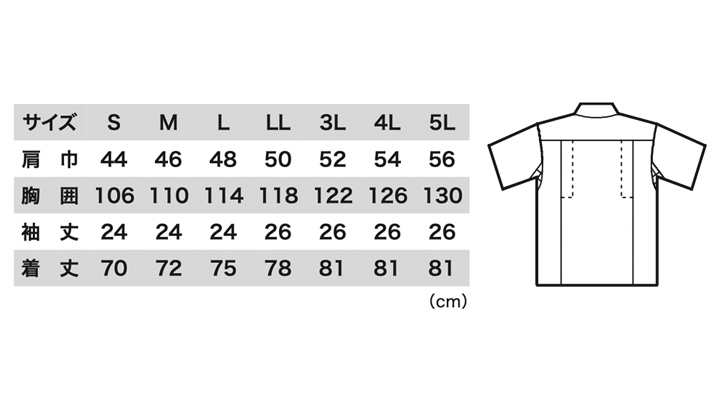 1252_size.jpg