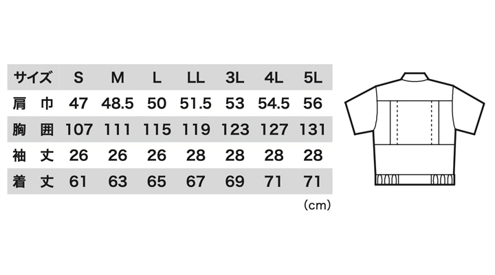 1271_size.jpg