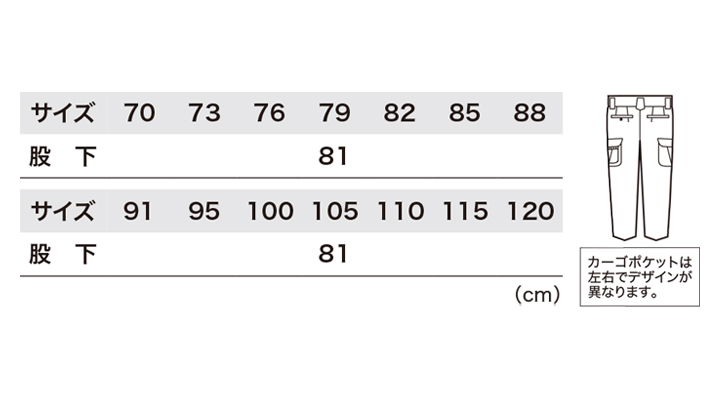 2096_size.jpg