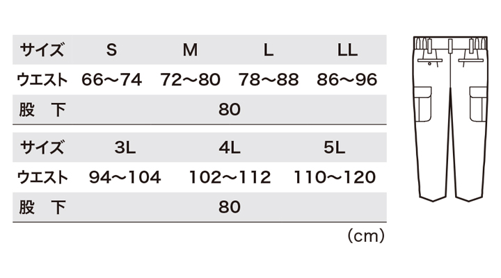 3196_size.jpg