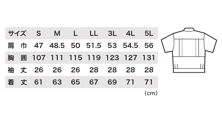 6251_size.jpg