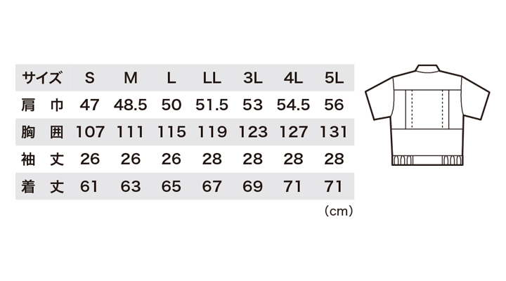 9910_size.jpg