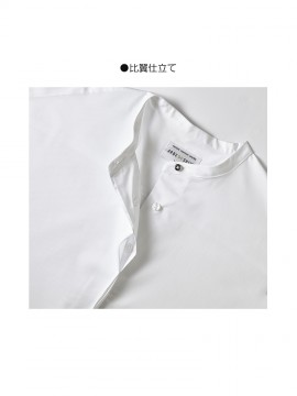 ARB-EP8715 シャツ「女」 襟元アップ
