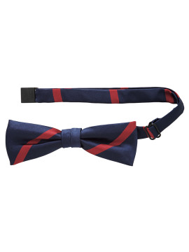 FA9221 蝶タイ 拡大画像 ネイビー×ワイン